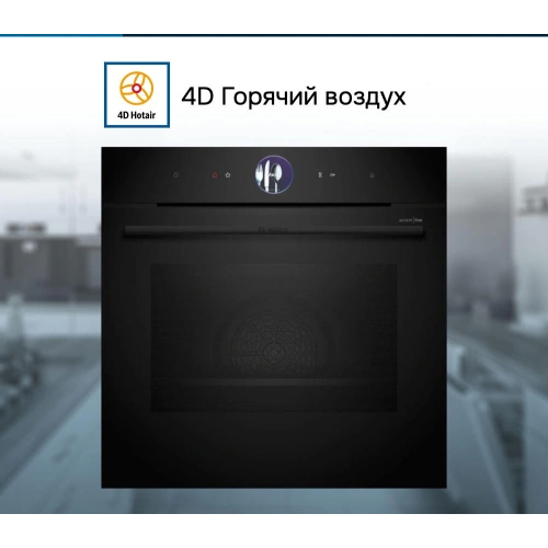 Духовой шкаф Bosch HRG976NB1